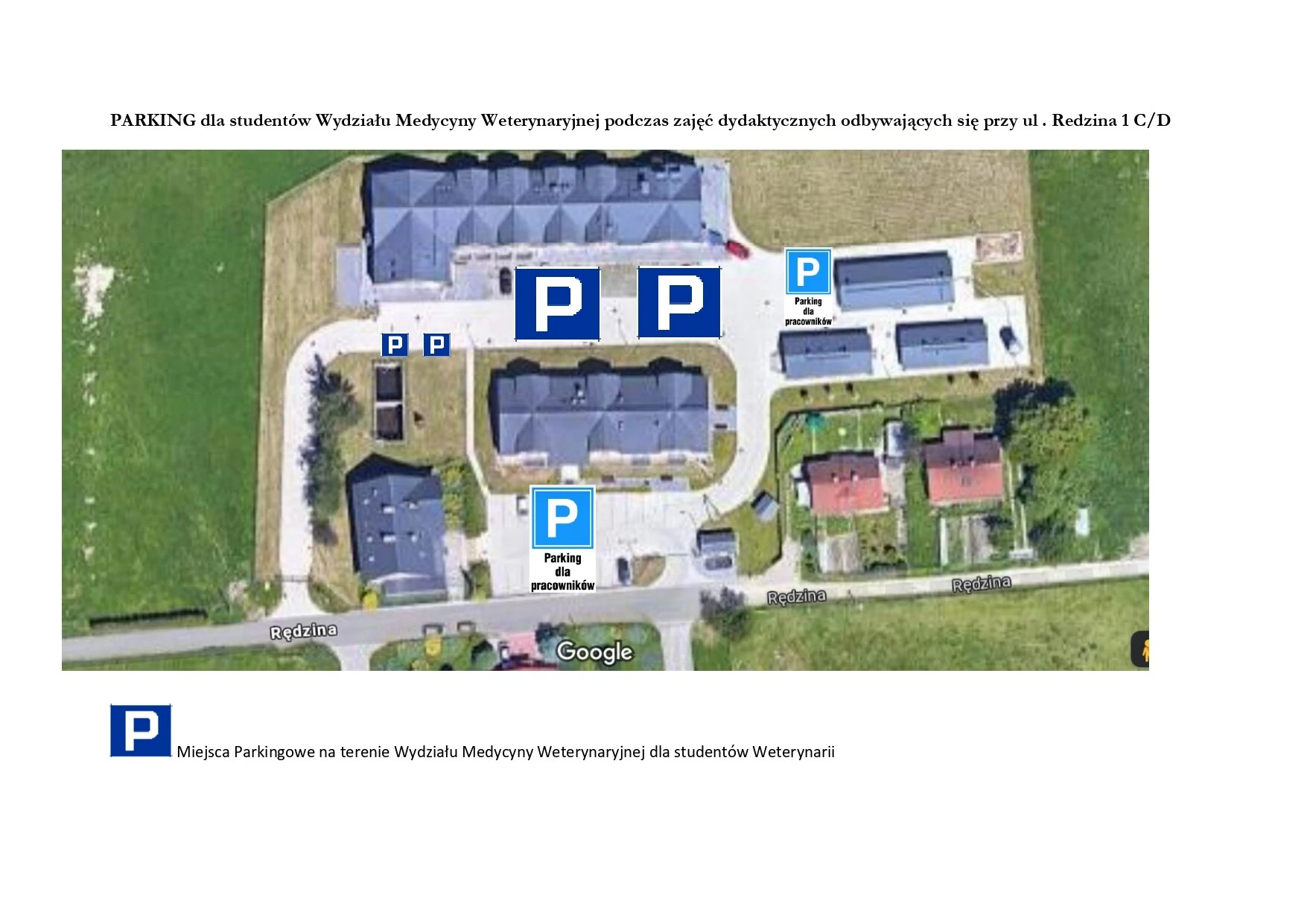 grafika ilustracyjna